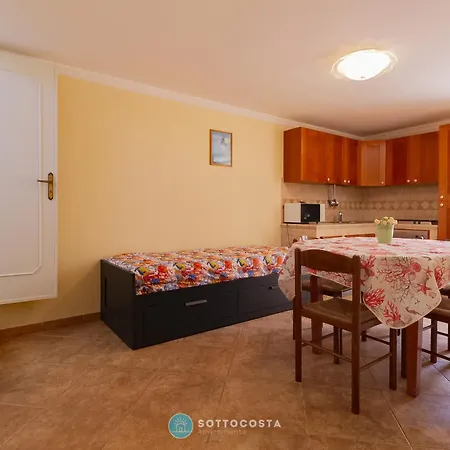 Iris Flat - 산포카