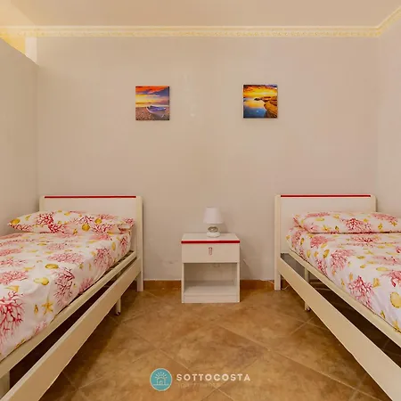 Iris Flat -